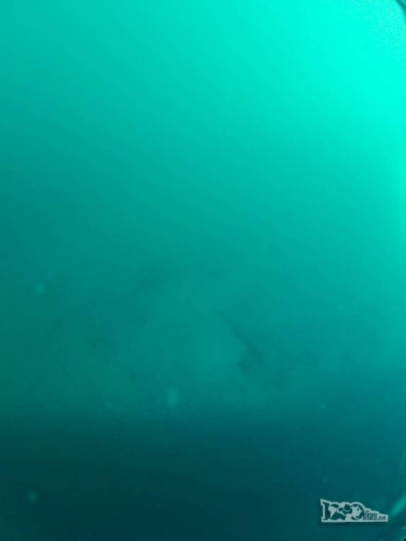 Uma tentativa de foto subaquática sob a Catedral de Mármore, no lago General Carrera, região de Puerto Rio Tranquilo, na Carretera Austral, sul do Chile